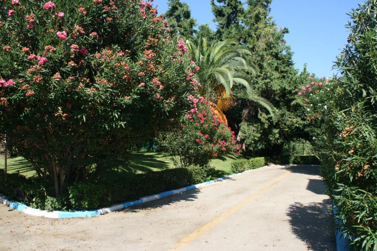 Batis Hotel Livanátai المظهر الخارجي الصورة