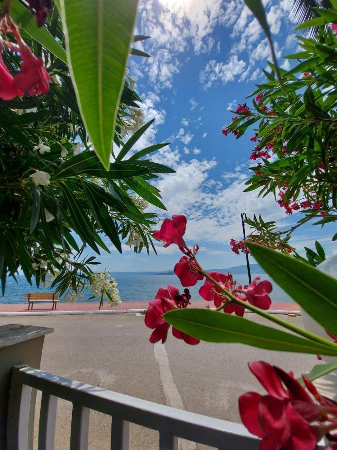 Batis Hotel Livanátai المظهر الخارجي الصورة
